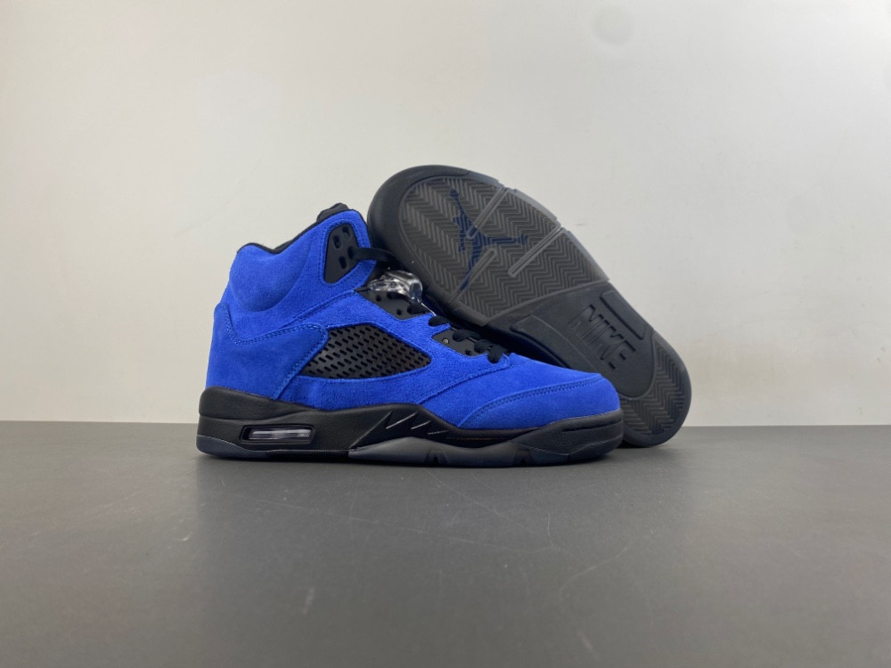 Air Jordan 5 “Nightwing” Concept DD0587 - 400