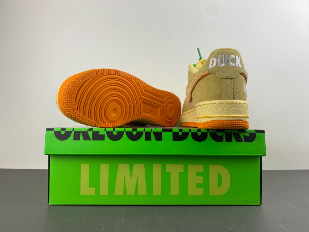 Nike Air Force 1 Low Ducks of a Feather University of Oregon Duck or Egg IU7612-700