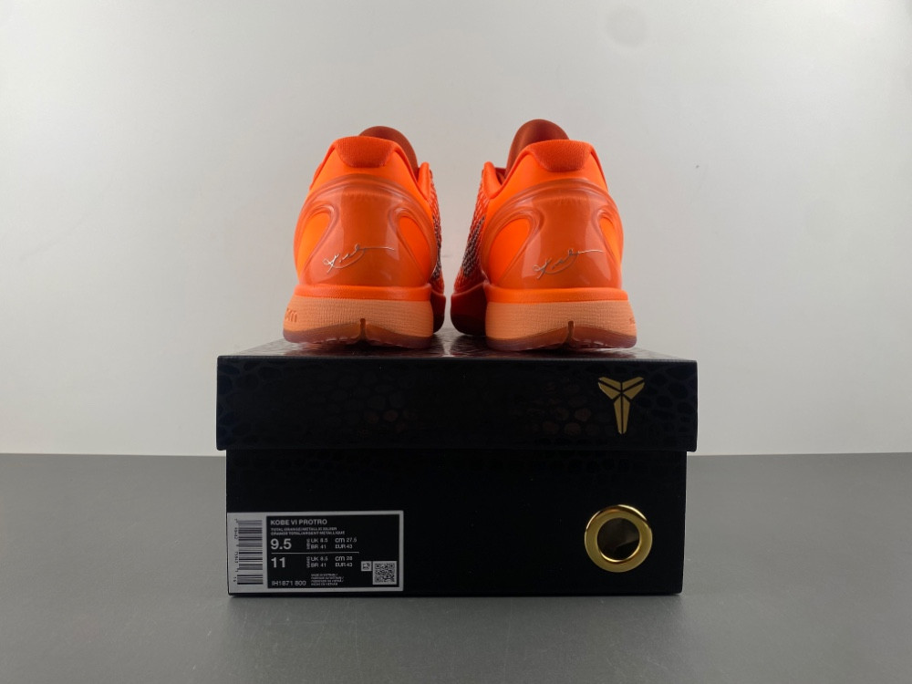 Nike Kobe 6 Protro WNBA Men