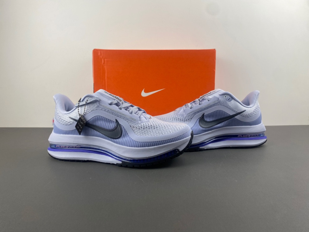nike air zoom pegasus preM1vm persian violet hq2592-004