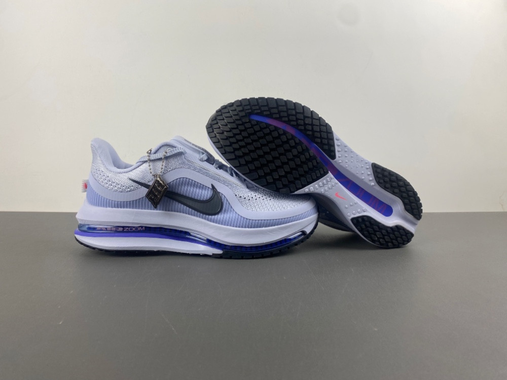 nike air zoom pegasus preM1vm persian violet hq2592-004