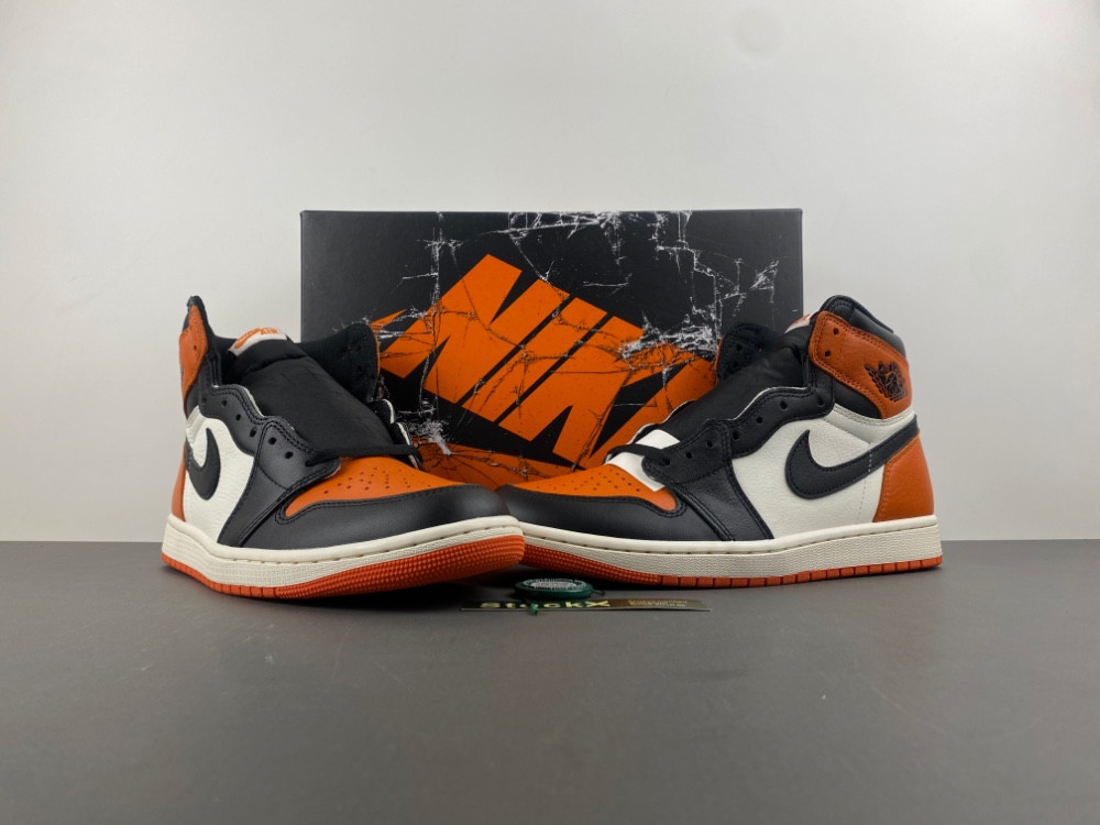 Air Jordan 1 "Shattered Backboard" DZ5485-008