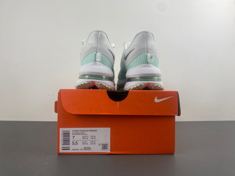 nike pegasus preM1vm white mint foam hq2593-103