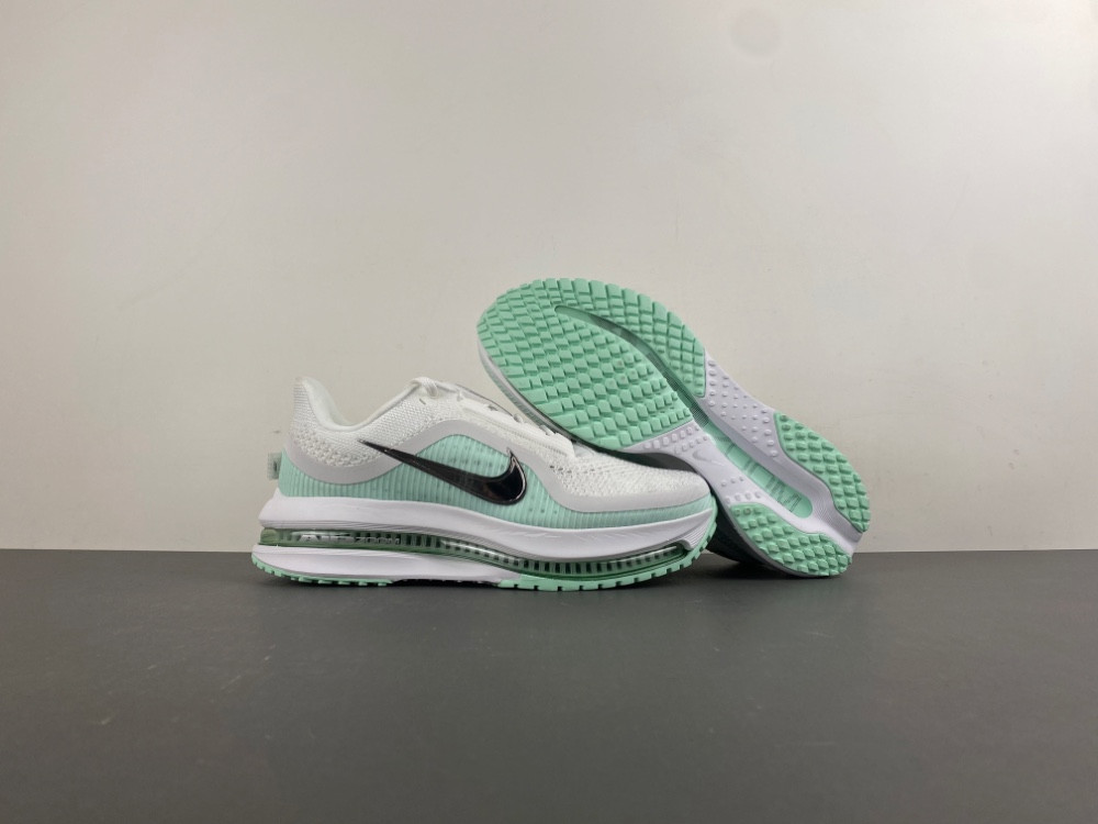 nike pegasus preM1vm white mint foam hq2593-103