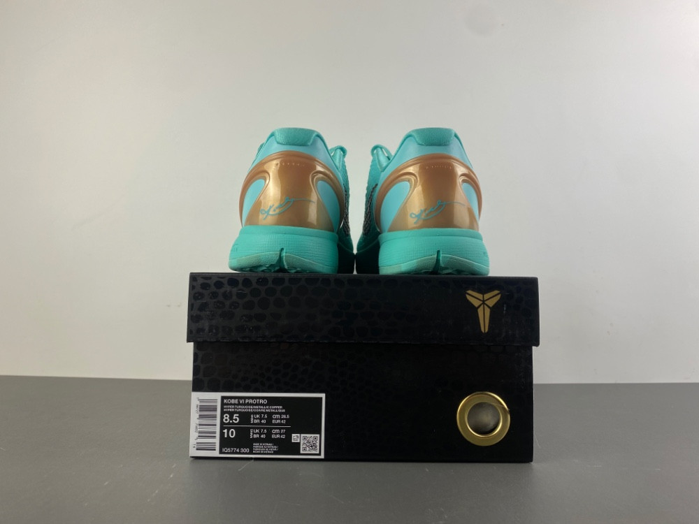Nike Kobe 6 Protro Jalen Brunson IQ5774-300