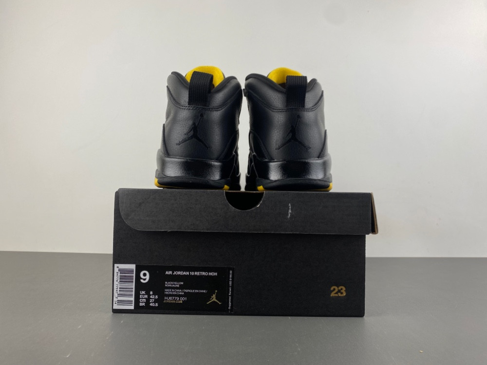 Air Jordan 10 Retro PS 