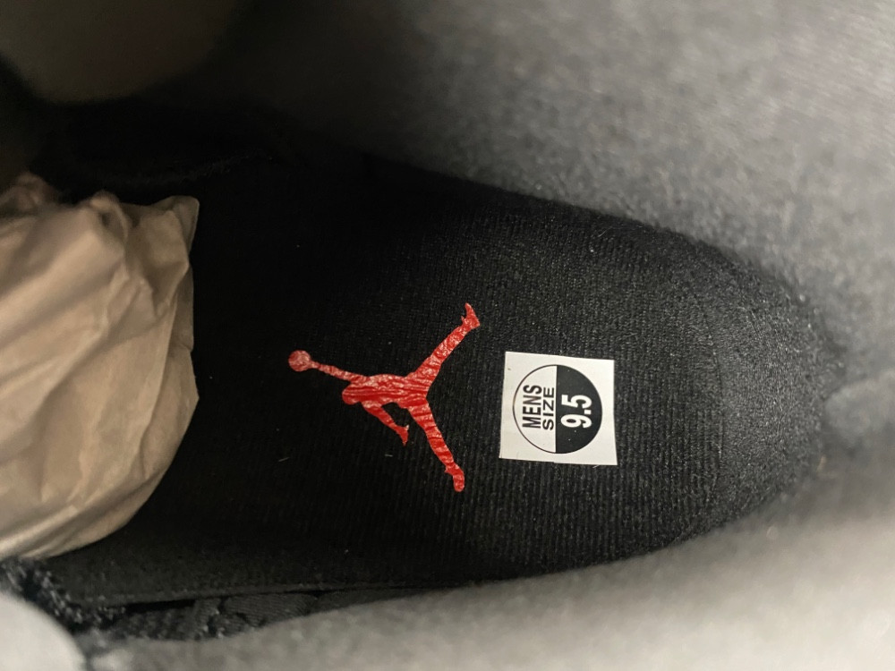 Air Jordan 12 “Bloodline” CT8013-003