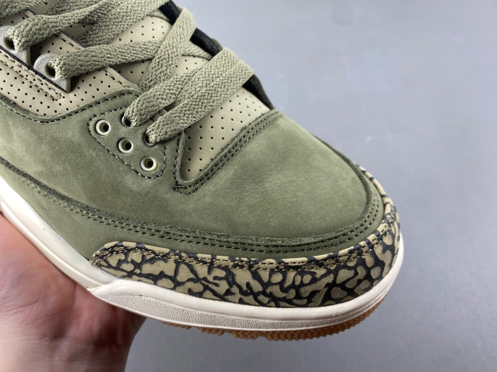 Air Jordan 3 Family Affair Medium Olive DN3707-202