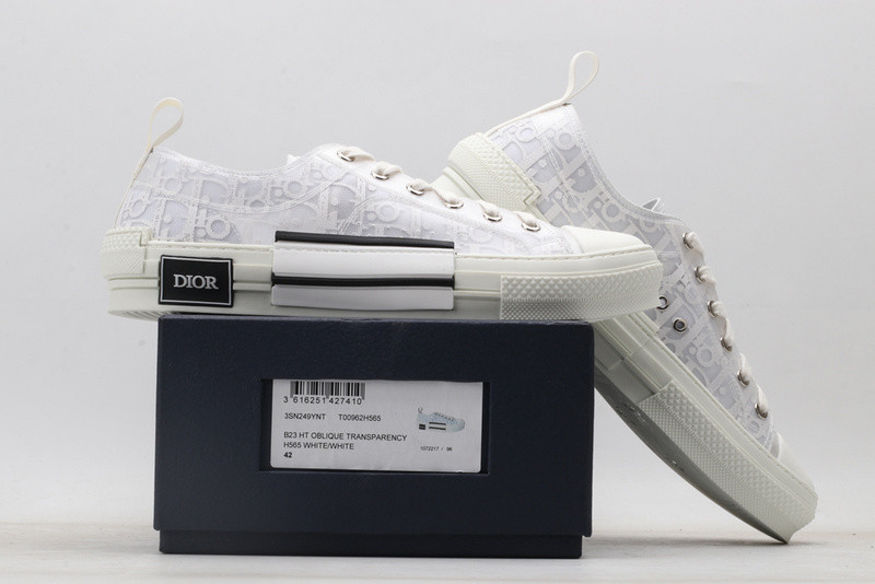 D10r b23 oblique low sneaker