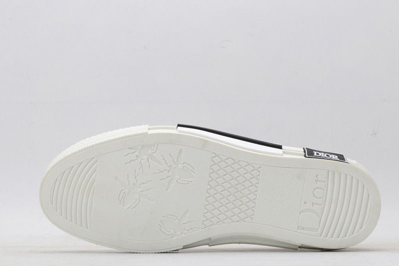 D10r b23 oblique low sneaker