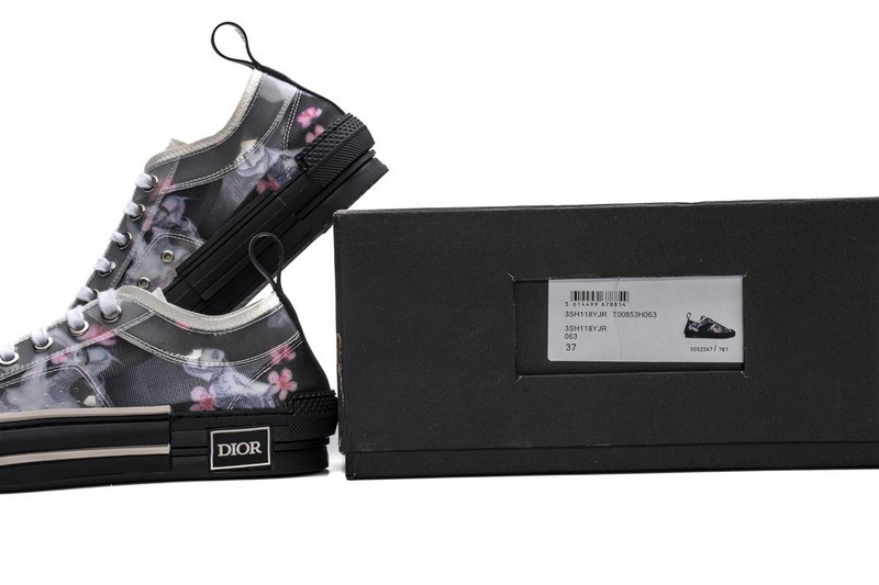 D10r b23 oblique low top sneaker t00853h063