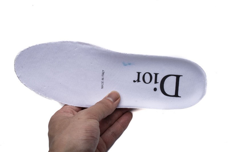 D10r b23 oblique low top sneaker t00853h063