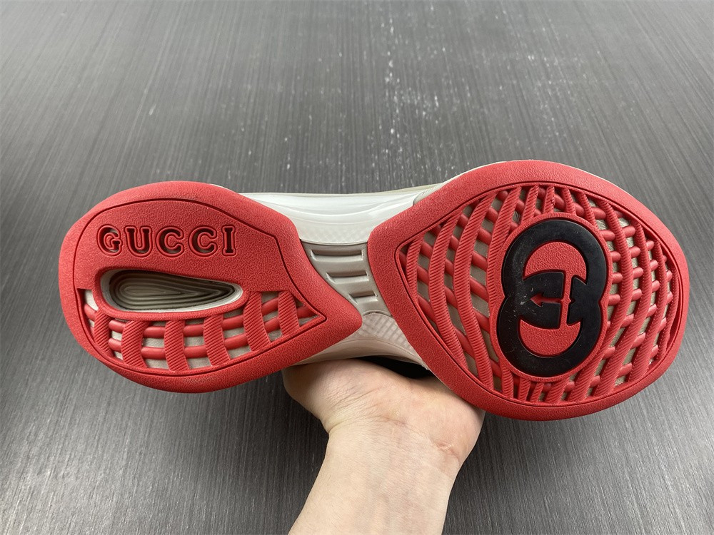 guci sneaker