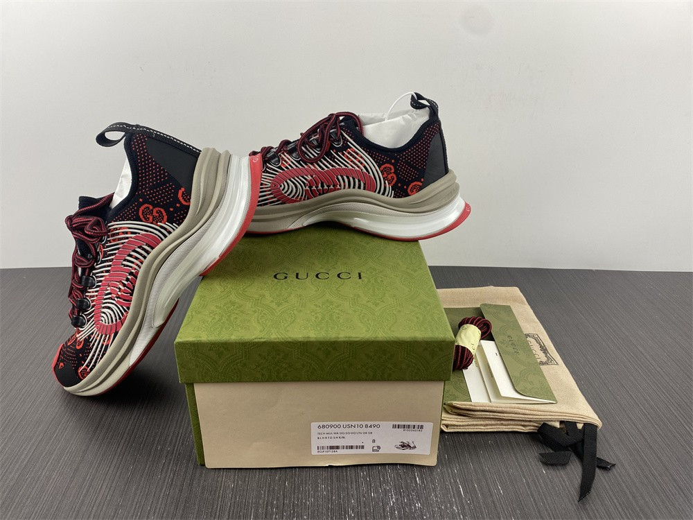 guci sneaker