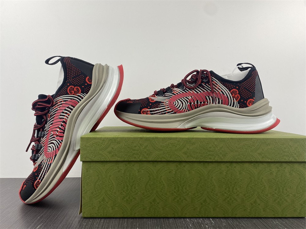 guci sneaker
