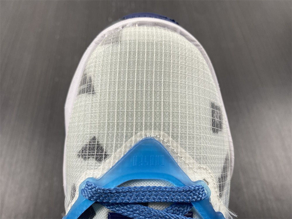 space jam x lebron 19 ep