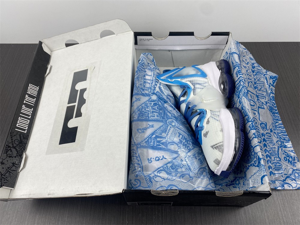 space jam x lebron 19 ep